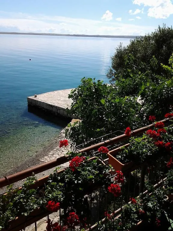 Rooms Ante Tribanj-Kruscica Guest house