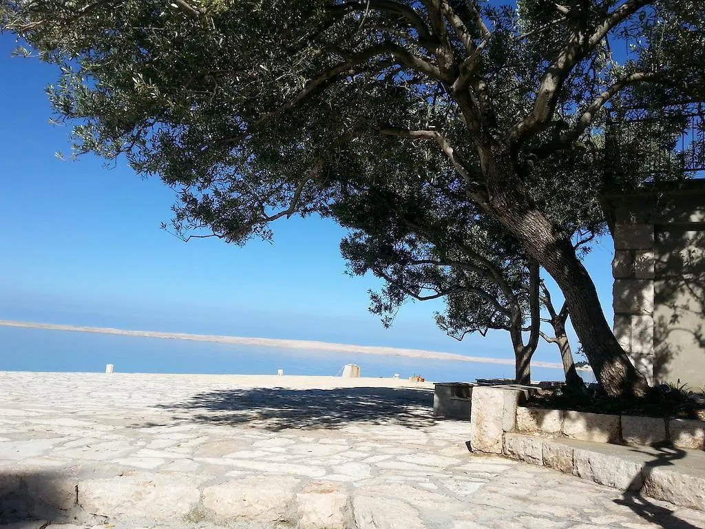Rooms Ante Tribanj-Kruscica Guest house